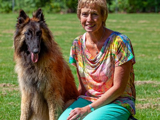 Diverse honden Voedt uw hond goed op zodat zij en jij genieten van het leven