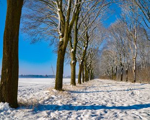 Sneeuwwandelecht_20121208_072