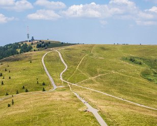 20180803_161_vak_Schwarzwald