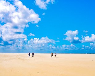 Texel_20120701_076