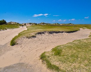 Texel_20120701_179