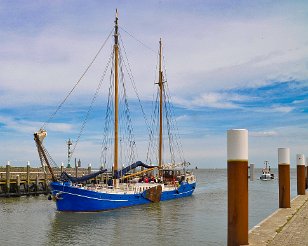 Texel_20120702_624