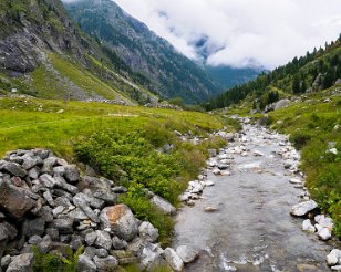 Vakantie_Tirol_20110730_325