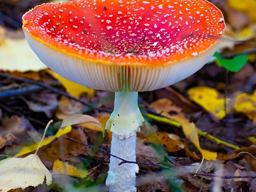 Natuur Kies voor een beter klimaat en natuurbehoud